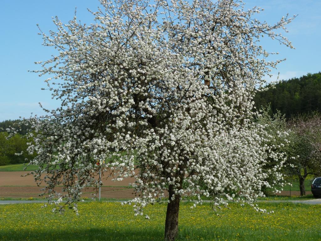 Apartmán Bernerhof Pottenstein Exteriér fotografie